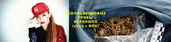 крисы Алзамай