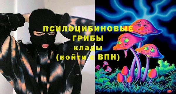 крисы Абдулино